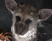 The Last Guardian – co się dzieje z potencjalnym hitem na PS3?