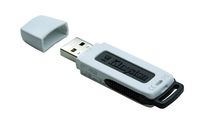 Kingston DataTraveler 8 GB