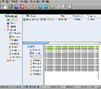 Zrzut ekranu: FlashGot