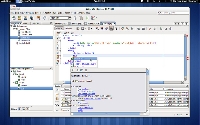 Zrzut ekranu: NetBeans